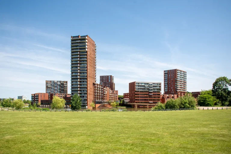 supervisie Meerrijk Eindhoven